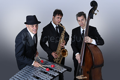 Vibration Jazz Trio